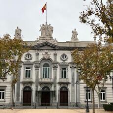 El Supremo rechaza suspender el voto a los nietos nacionalizados que viven en España